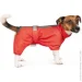  Pet Fashion RAIN 6XL  (4823082425501)