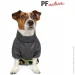  Pet Fashion RAIN M2  (4823082425921)