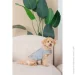 Pet Fashion  Rob XS   (4823082438402)