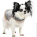 Pet Fashion  Rob XS   (4823082438402)