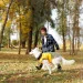  Pet Fashion ROY - 3XL (4823082432837)