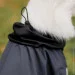 Pet Fashion ROY - 3XL (4823082432905)