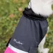  Pet Fashion ROY - 3XL (4823082432905)
