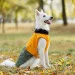  Pet Fashion ROY - 4XL (4823082432820)