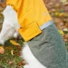  Pet Fashion ROY - 4XL (4823082432820)