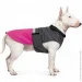  Pet Fashion ROY - XL (4823082432929)