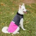  Pet Fashion ROY - XL (4823082432929)