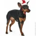  Pet Fashion S (4823082404544)
