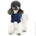  Pet Fashion  Sam  ,  L  (4823082442294)