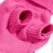  Pet Fashion  Sam  ,  L  (4823082442379)