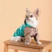  Pet Fashion Semmy XS2 (4823082434503)