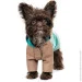  Pet Fashion Semmy XS2 (4823082434503)