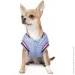  Pet Fashion Spike XL (4823082430185)