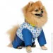  Pet Fashion TENDER S (4823082427642)