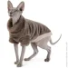  Pet Fashion  Tim   ,   (4823082442614)