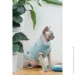  Pet Fashion    Tim L (4823082436026)