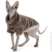  Pet Fashion  Tim   , L  (4823082442621)