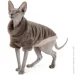 Pet Fashion  Tim   ,  XS  (4823082442591)