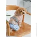  Pet Fashion  Tina XS2  (4823082435142)