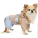  Pet Fashion  Tina XS2  (4823082435142)