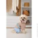  Pet Fashion  Tina XS2  (4823082435142)