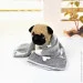 Pet Pro    , ,       80x100 ( : Z80x100S )