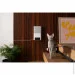 Petcube Bites 2 Lite (BL10US)