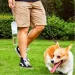  Petkit     Eversweet Travel 400  Blue (2595871831)