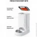 Petkit Fresh Element SOLO White