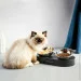    Petkit (P5201)