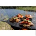 Petromax Atago Griddle Plate (atago-plate)
