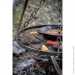     Petromax Hanging Grate for Cooking Tripod (h-grate50)