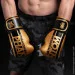    Phantom APEX Elastic Gold 16  (  ) (PHBG2215-16)