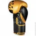    Phantom APEX Elastic Gold 16  (  ) (PHBG2215-16)