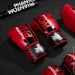  Phantom   APEX Red 16  ( 4.  )