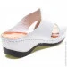    Phany .36  (069464-36)