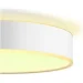  Philips Hue White Ambiance Enrave M White (929003531502)