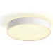 Philips Hue White Ambiance Enrave M White (929003531502)