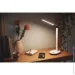   Philips Ivory 5W   (929003194707)