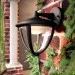   Philips MyGarden Robin (15471/30/16)