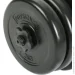  Physionics   2  20  (M-10161607)