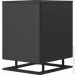 Hi-Fi  Piega TMicro Sub AN BL Black