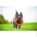 Pitchdog       d 20  