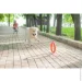 Pitchdog       d 28  