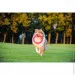    PitchDog 20 -20   (62377)