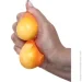Pixie -   53.6   . CKS-10677
