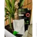 Plantin  Fertex Balance      250 