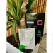 Plantin  Fertex Balance   250 