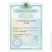        Plastall 1  (ENP-PL-000434k)