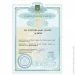  г     Plastall Premium 1.5    2.9        (Plastall P15n )